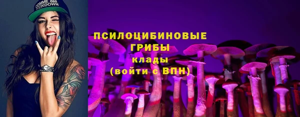 молекула духа Балахна
