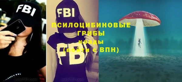 молекула духа Балахна
