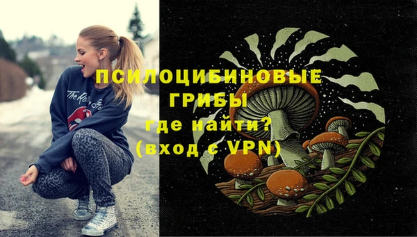 молекула духа Балахна