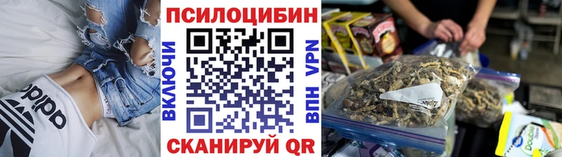 Купить где  Серафимович  Псилоцибиновые грибы мицелий 