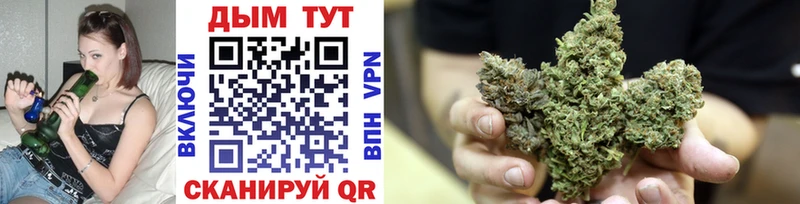 Купить где  Серафимович  Марихуана OG Kush 